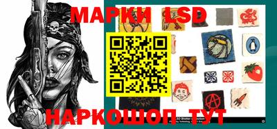 гидра Будённовск