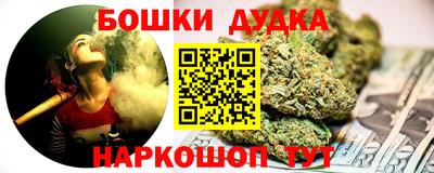 гидра Будённовск