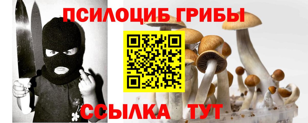 Псилоцибиновые грибы ЛСД  Вход с VPN  Заринск 